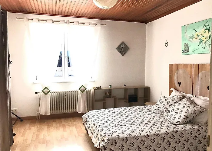 O Sonho Casasavernoise Appart1 * Saverne